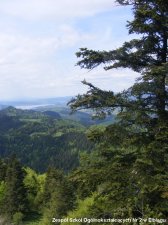 2009.05.11-15 - Klasy 1a, 1d - Szczawnica
